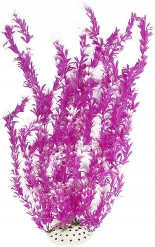 ec08c29a6f76f066e7e236c5b4e12cdd