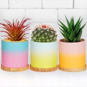 f0474be5156d8b12416fdec1c350d9e7