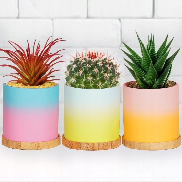 f0474be5156d8b12416fdec1c350d9e7