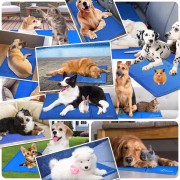 bb7dd36a8282117d36f50cdcfd1fc5d6