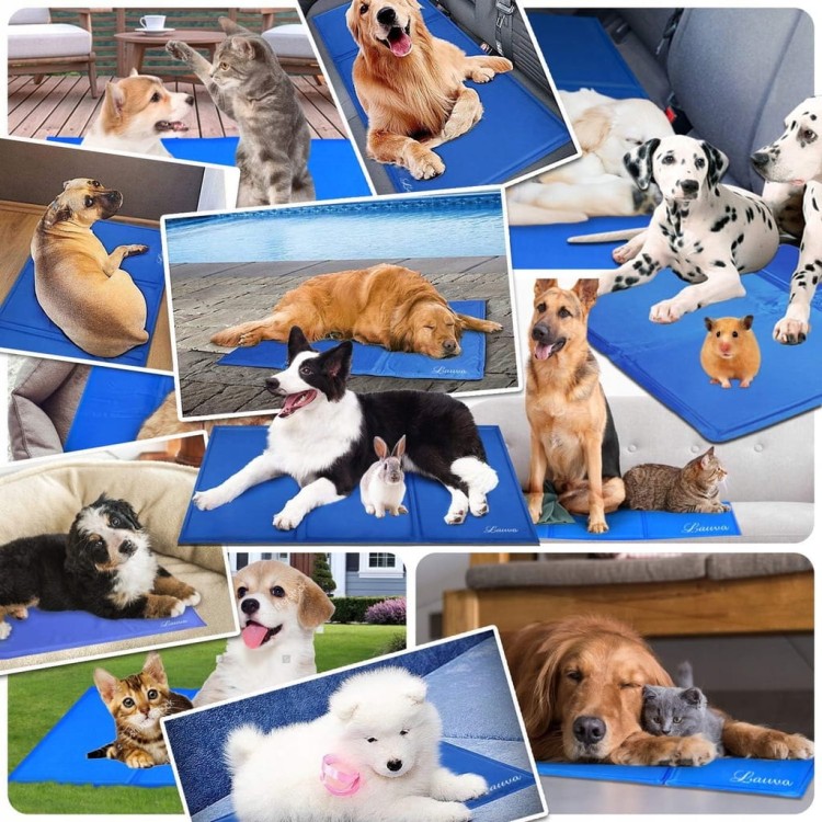 bb7dd36a8282117d36f50cdcfd1fc5d6