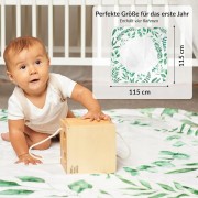 e3aab45b6672fd90eb6c8cfcb8a16f15