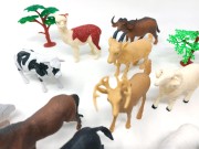 43e539d4e1075e5673b85bfe7b146c07