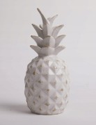 ffb16aabedf286b72c17275a49675c24