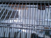 28947a420acc335bd9c17d4f7f311832