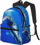 d3d8c01d039e4c2a9b6596e35447b7e0