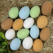 80117a79d1f9daa77edf85c304a23ec3