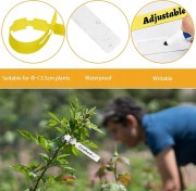 6203bd0bdbac317afdcd659558b46c56