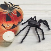 77a17c61c230ab7ea5646ffca2a685a9