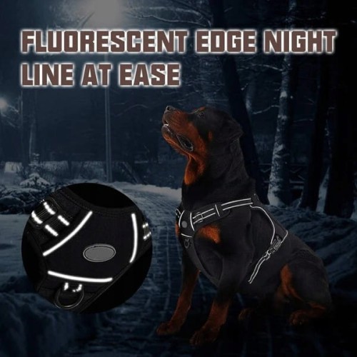 39f124bcf39629974b9f535ae97652da