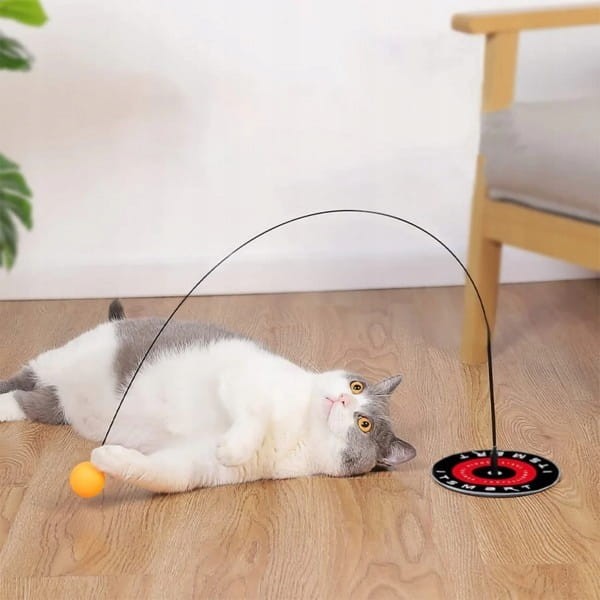 a309d232c192e67a2cbd06ccb5afd4ff