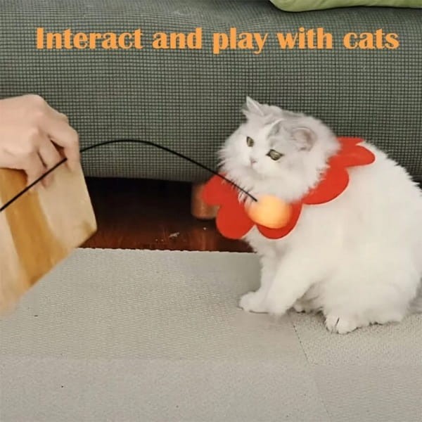 c651596daeb17ad0815e0064409058f4