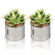 5e44a86534ae52b5da56e398fd709650