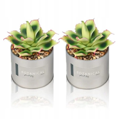 5e44a86534ae52b5da56e398fd709650