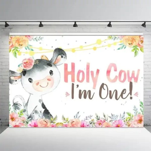 4dbd418ee99daad02ae52b0372a8341a