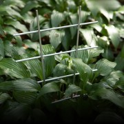 e1aa74ff30e06ff9eccf23d57da516cb