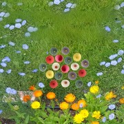 91a2f2b04b4b6b32f837893b7b14c2a4