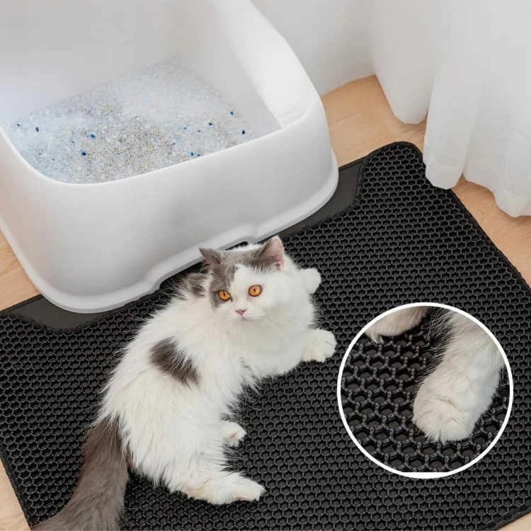 384c1cb0b58eee4632e24a95acfad229