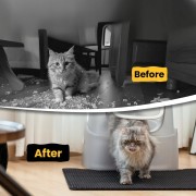 a085708abf4f8fc6bef7321b18201174