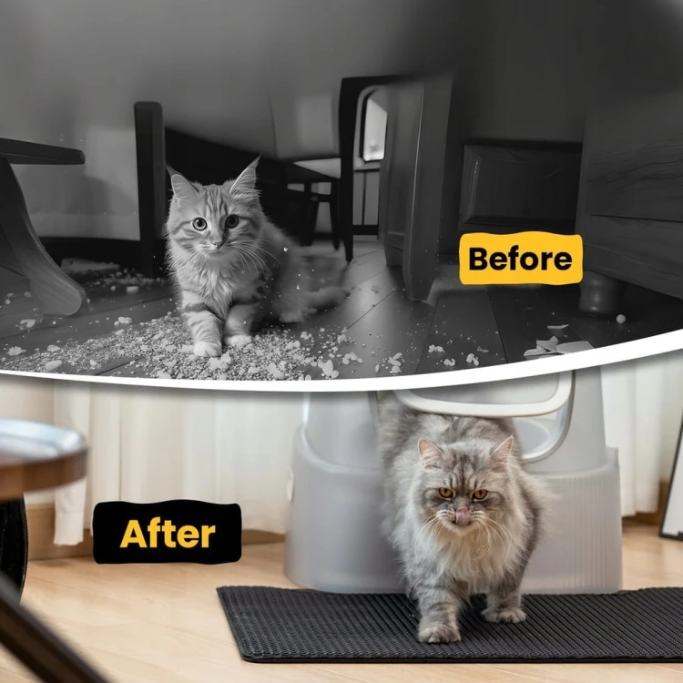 a085708abf4f8fc6bef7321b18201174