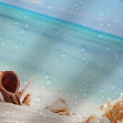 06e9cfe7b85b87824530494e74654295