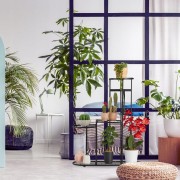 ee7ea00e2762878193220c6ed33bdf74