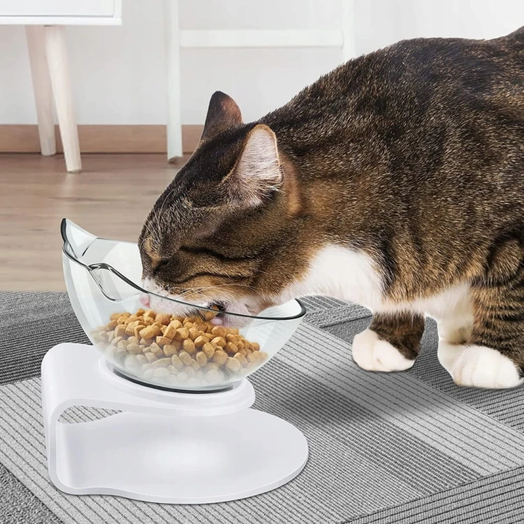 7366da9a47af8a4130e4a614943955a8