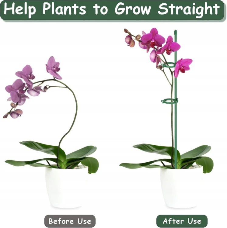 aab7370e35d6ea113c0ad046150c3157