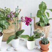 021d3bcfd6f49ecfbad36492dba6e1f1