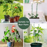 09ab61ce602330f128692f1c94abd637