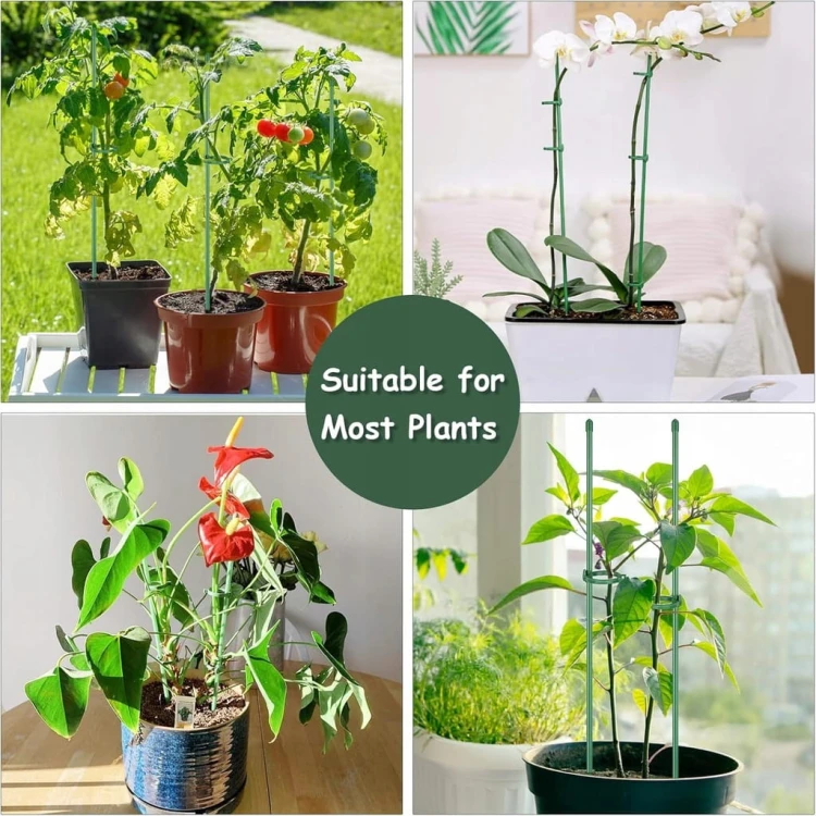 09ab61ce602330f128692f1c94abd637