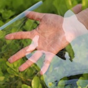 985283dccafdcafe8a802927ac5c4b28