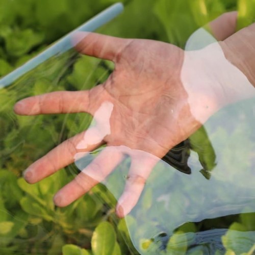 985283dccafdcafe8a802927ac5c4b28