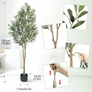 0588a50b9a9b4133422dcc9ddb3d182a