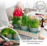 8026ae8e364cd674705dd84d8a816d6d