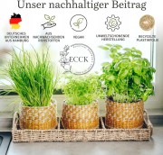 6487b7adf9594ab4a4e4bf816fb93136