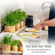 650f455e9004f4fe00d4431b83506f33