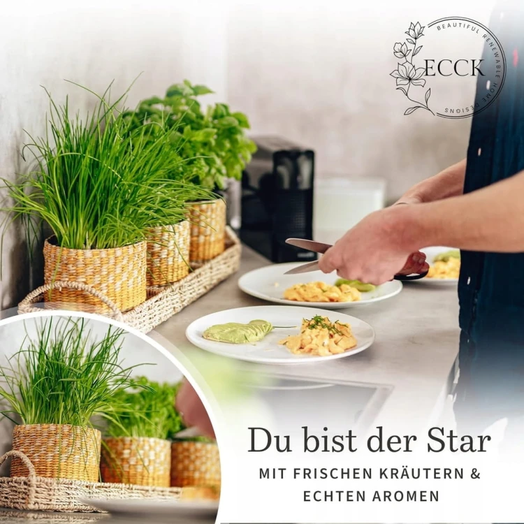 650f455e9004f4fe00d4431b83506f33