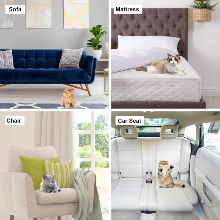 c506283382324323730ec028d448873f