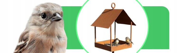 e2c8e091e206927b06a9001f5cf31a15