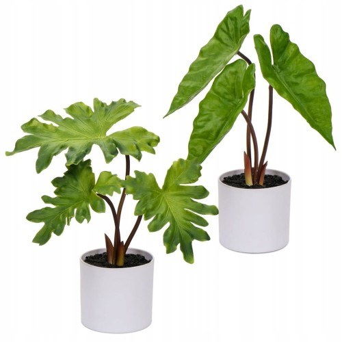 e898c281b4cf513e40f7db78254adcb6