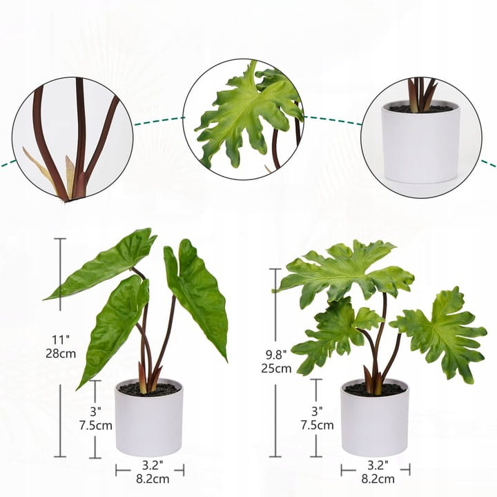 f307b23b98d8753a990a05dcb04a5a5f