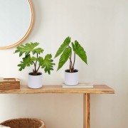 a8fb7ab5f8e615cb30d600769f98d7b8