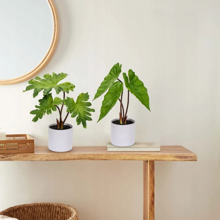 a8fb7ab5f8e615cb30d600769f98d7b8