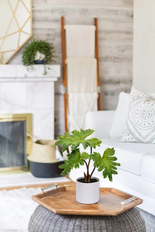 5c959d79fad77916b8759255f8ec96a9