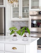 0d9874ea1c94225f08639db3aadae064