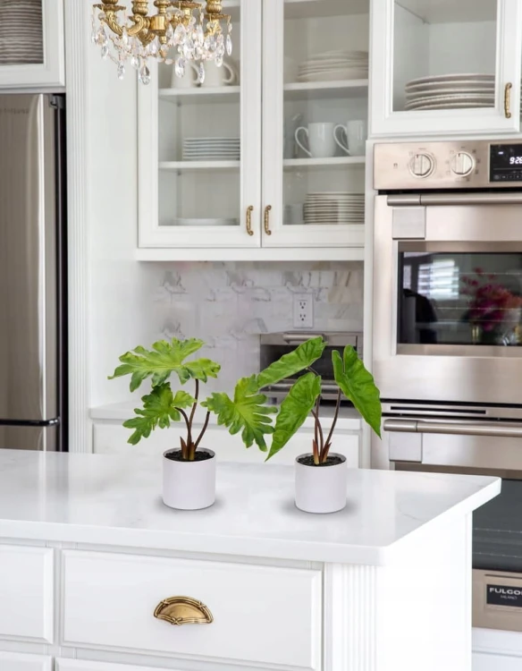 0d9874ea1c94225f08639db3aadae064