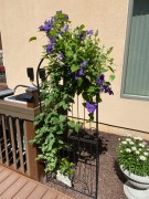 Krata kratownica podpora podpórka pergola ogrodowa metalowa dekoracyjna