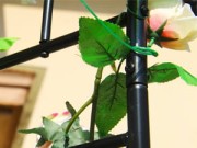 Pergola ogrodowa krata łuk podpora metal do roślin pnączy dekoracyjna