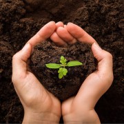 a305b2fa45cca7b43b3d4328a7bf05c0